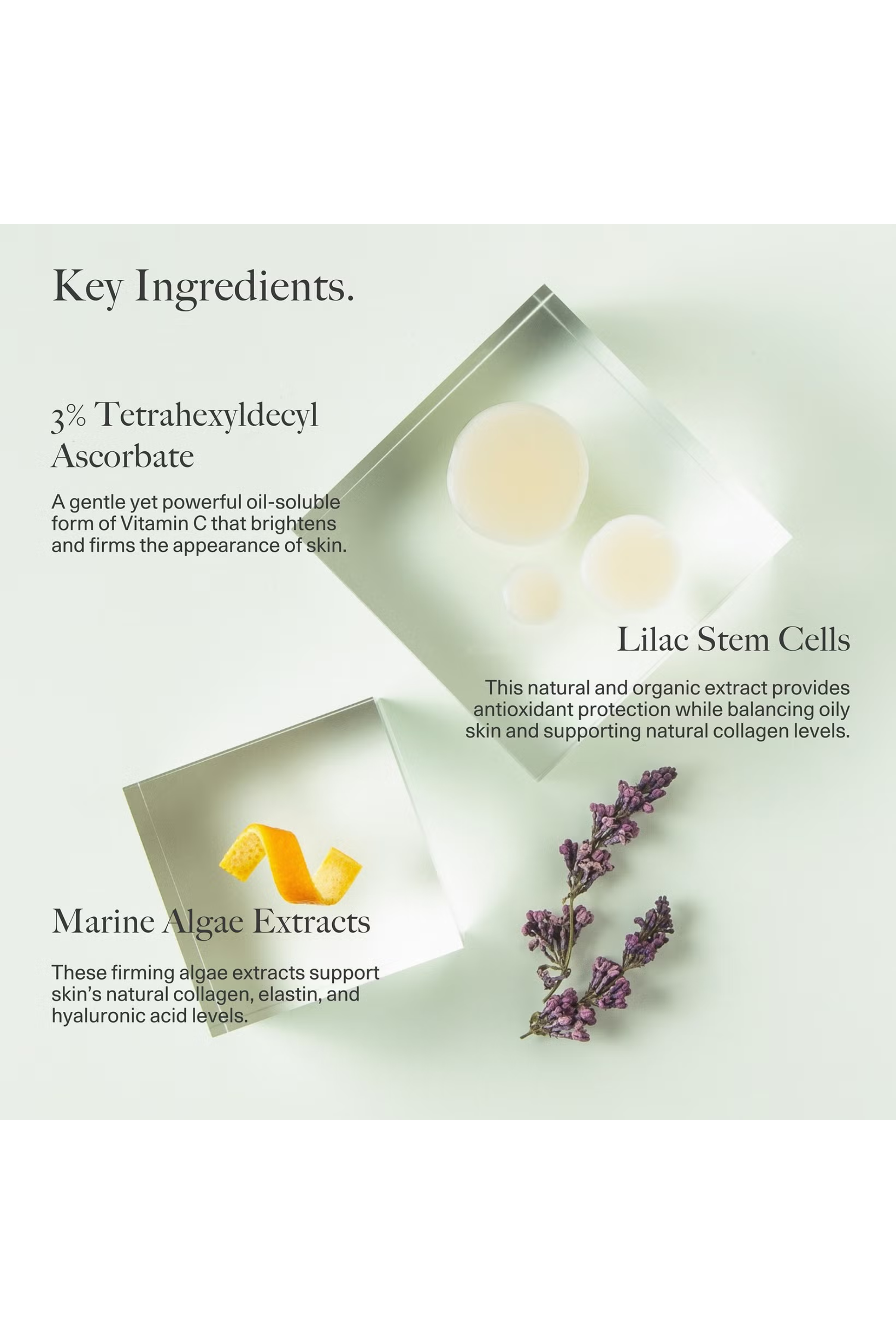 Antioxidant Repair Serum