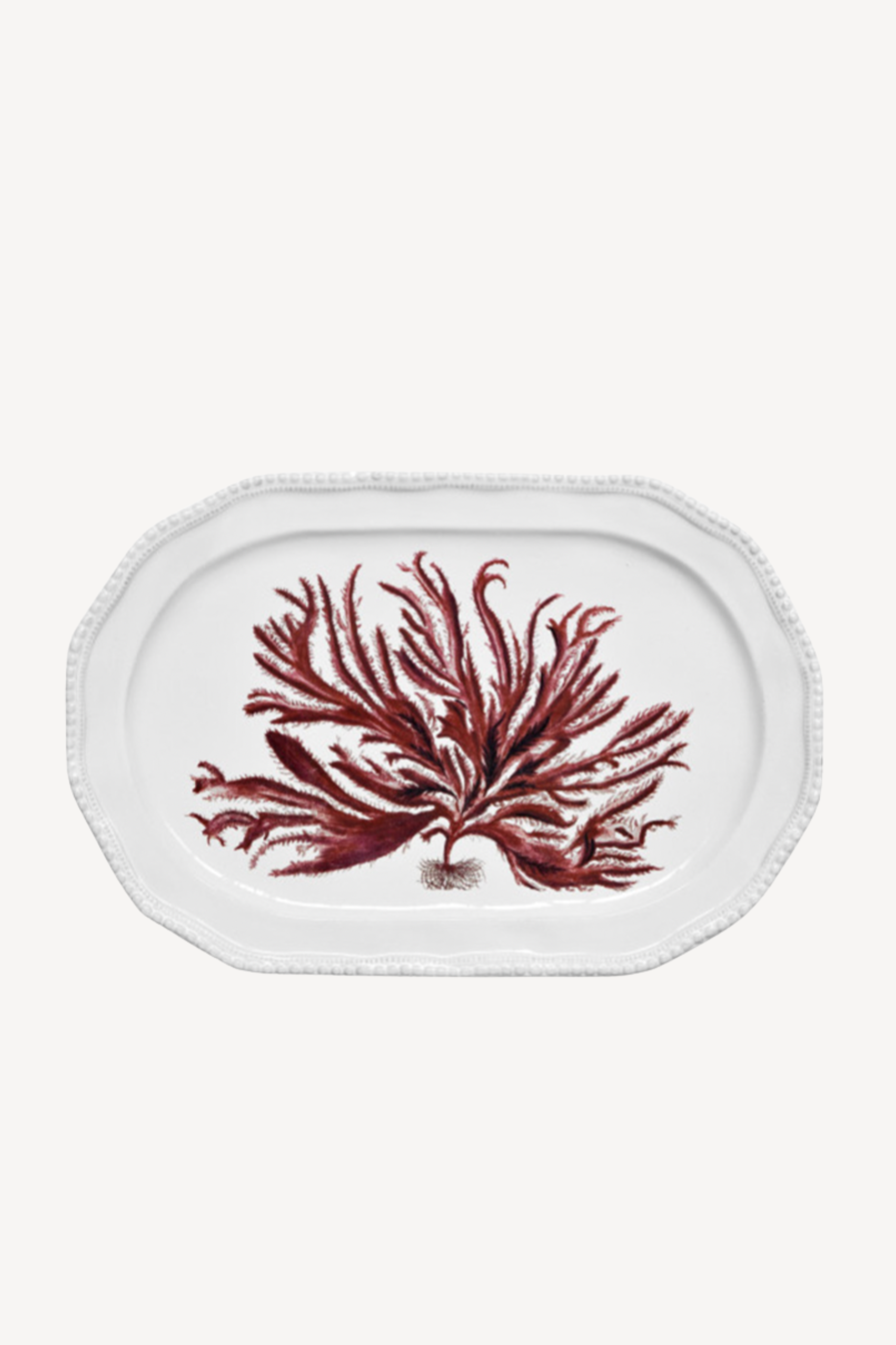 Red Seaweed Platter