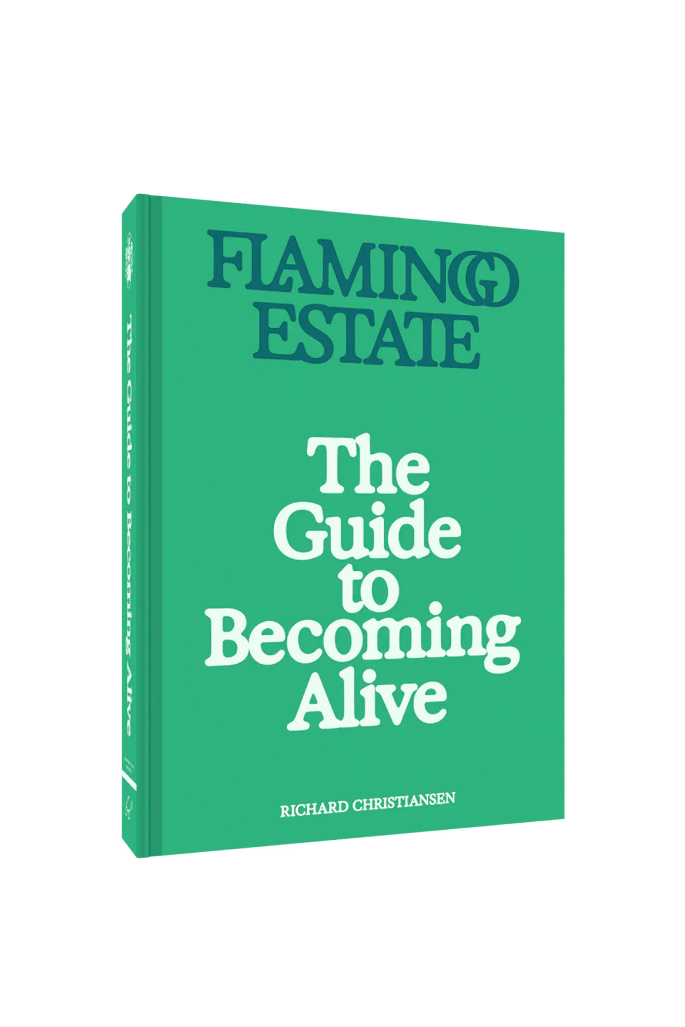 Guide to Becoming Alive