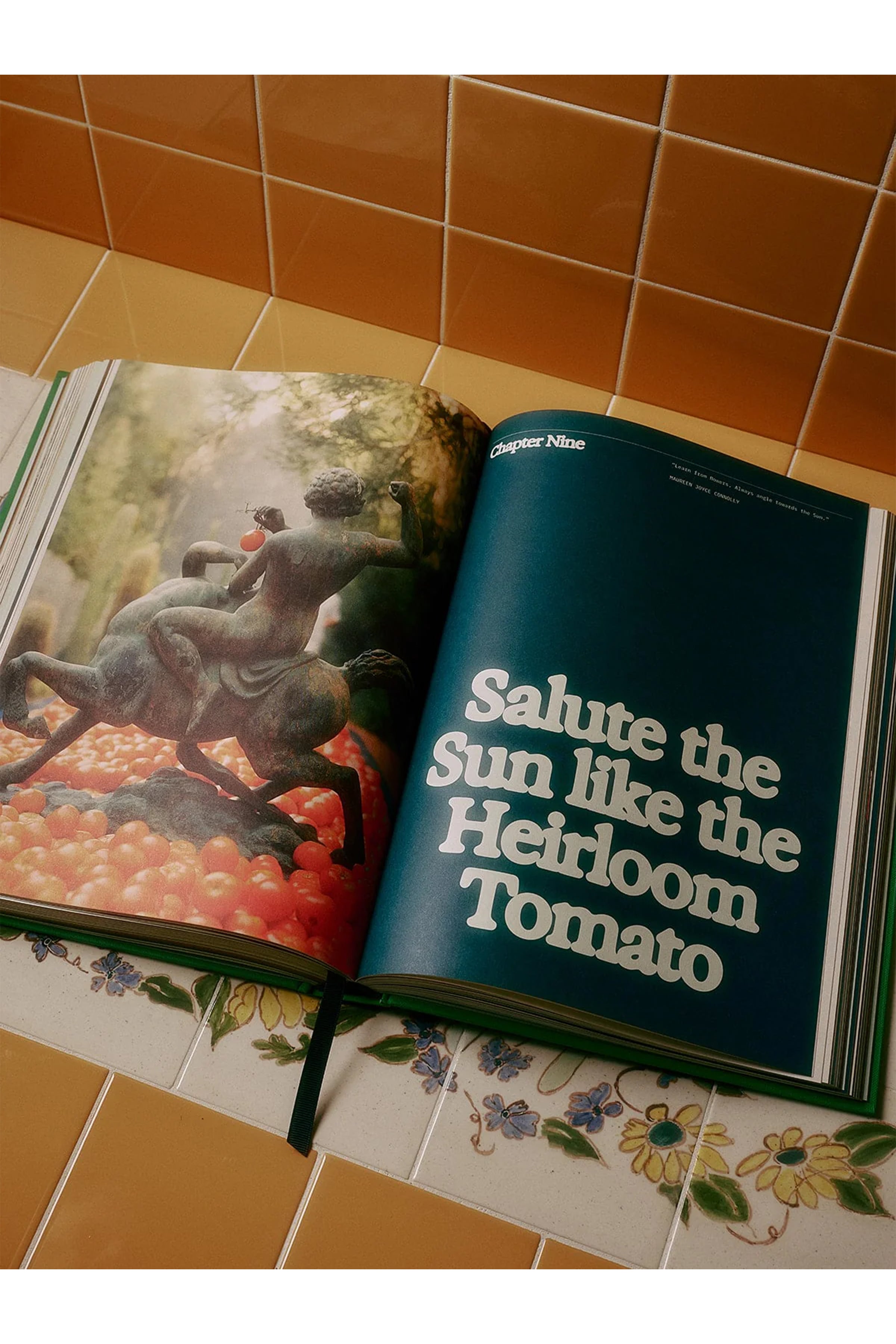 Guide to Becoming Alive