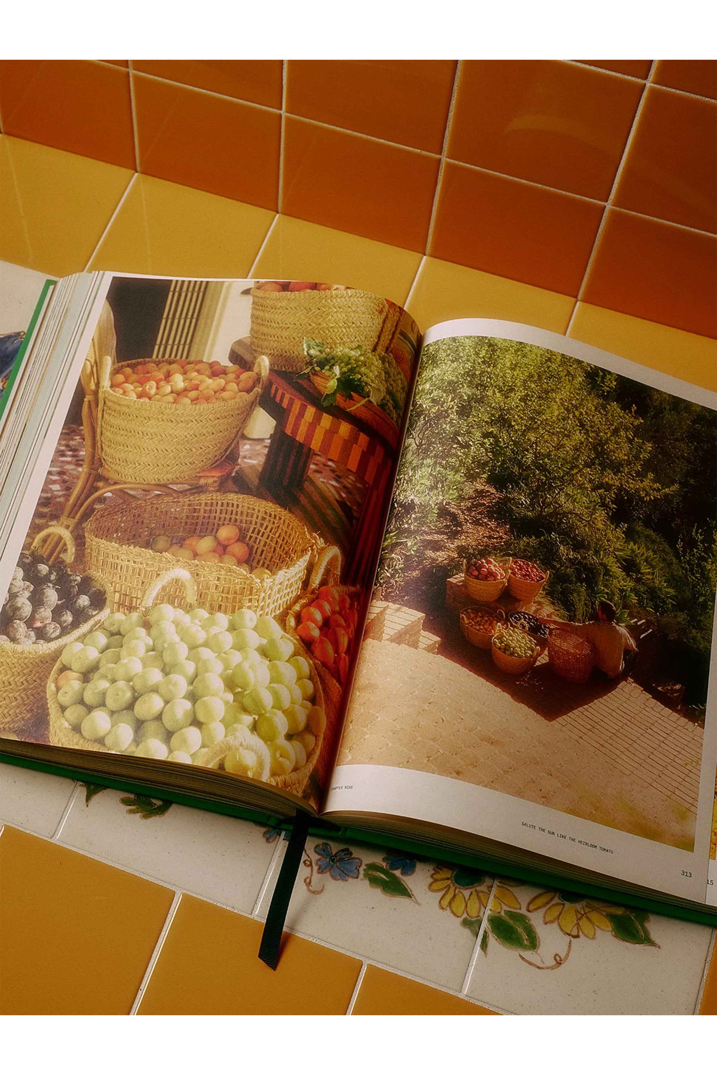 Guide to Becoming Alive