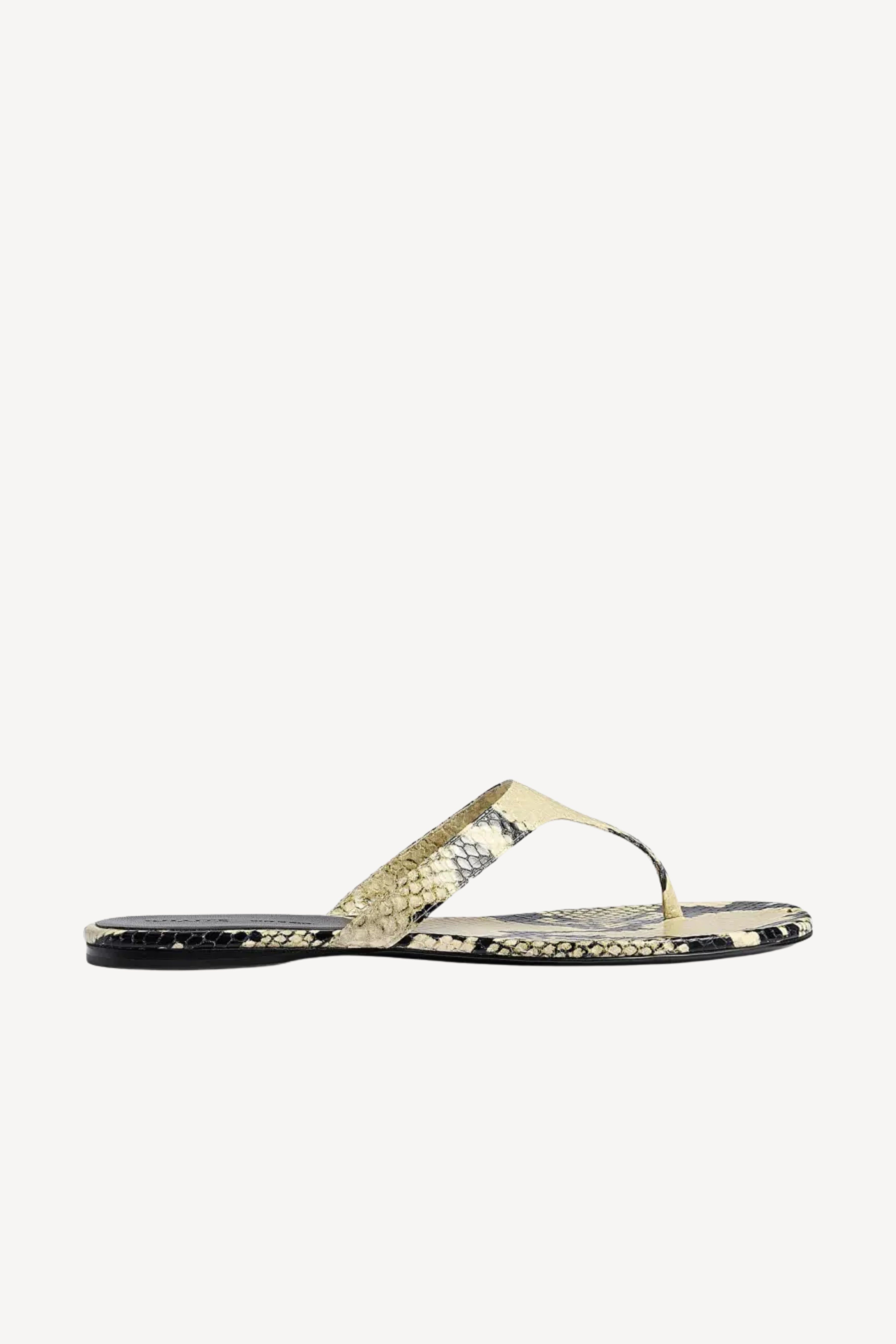 Archer Thong Sandal