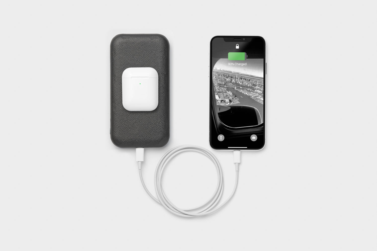 Ash CARRY Charging Case