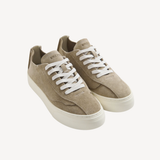 OM7B Dellow
