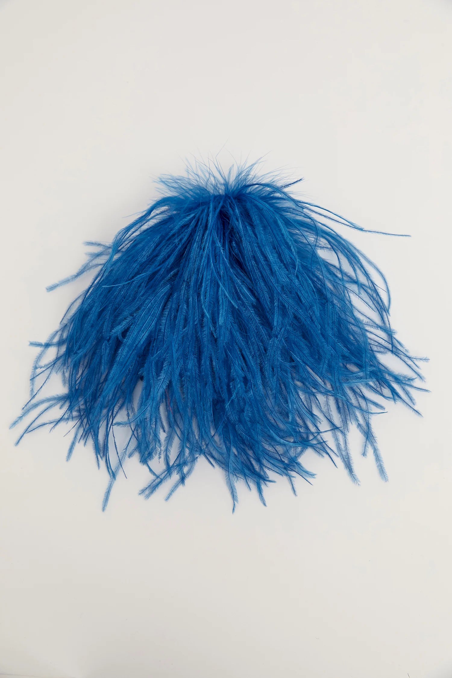 Ostrich Feather Brooch