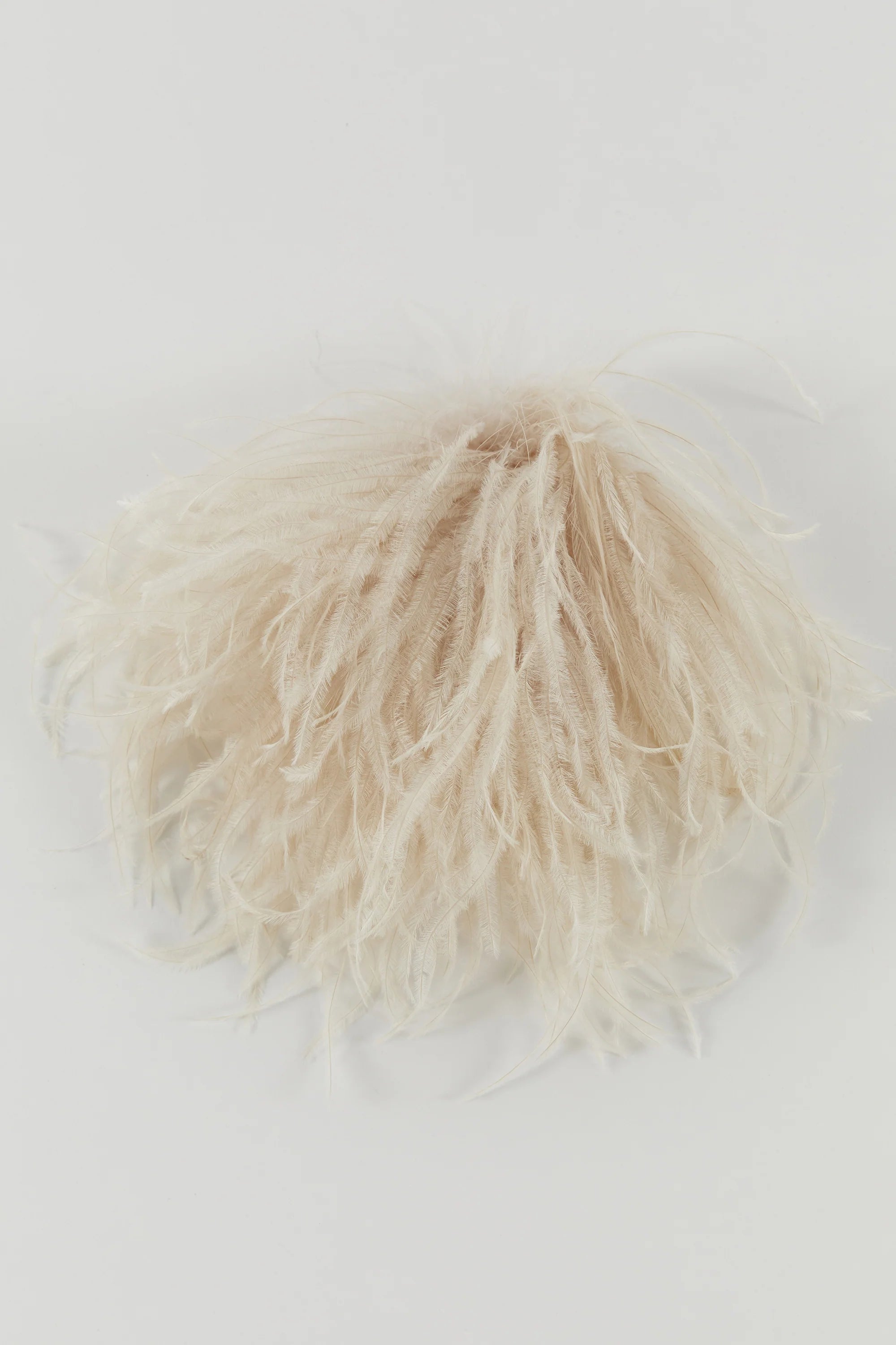 Ostrich Feather Brooch