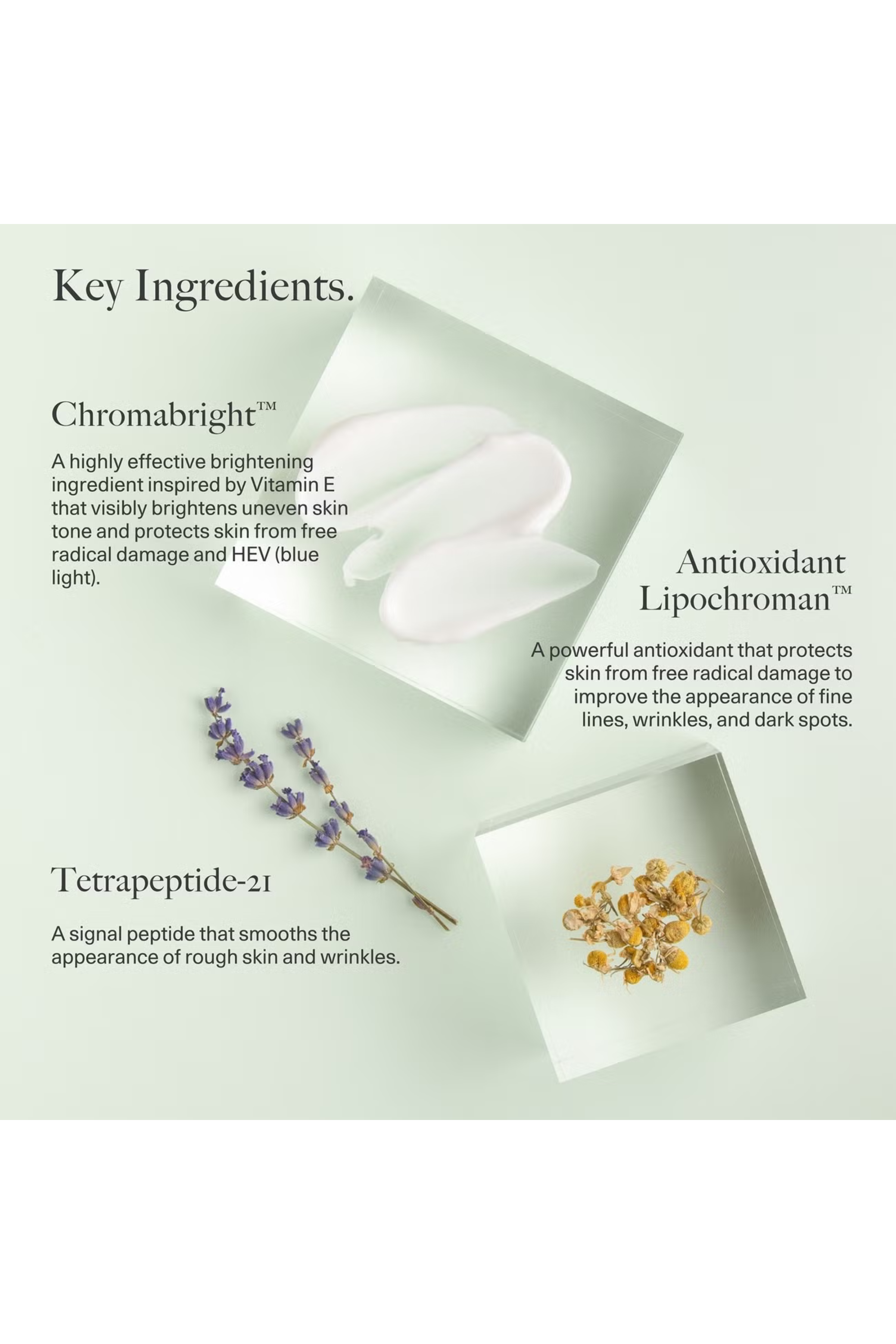 Anti-Aging Repair Moisturizer