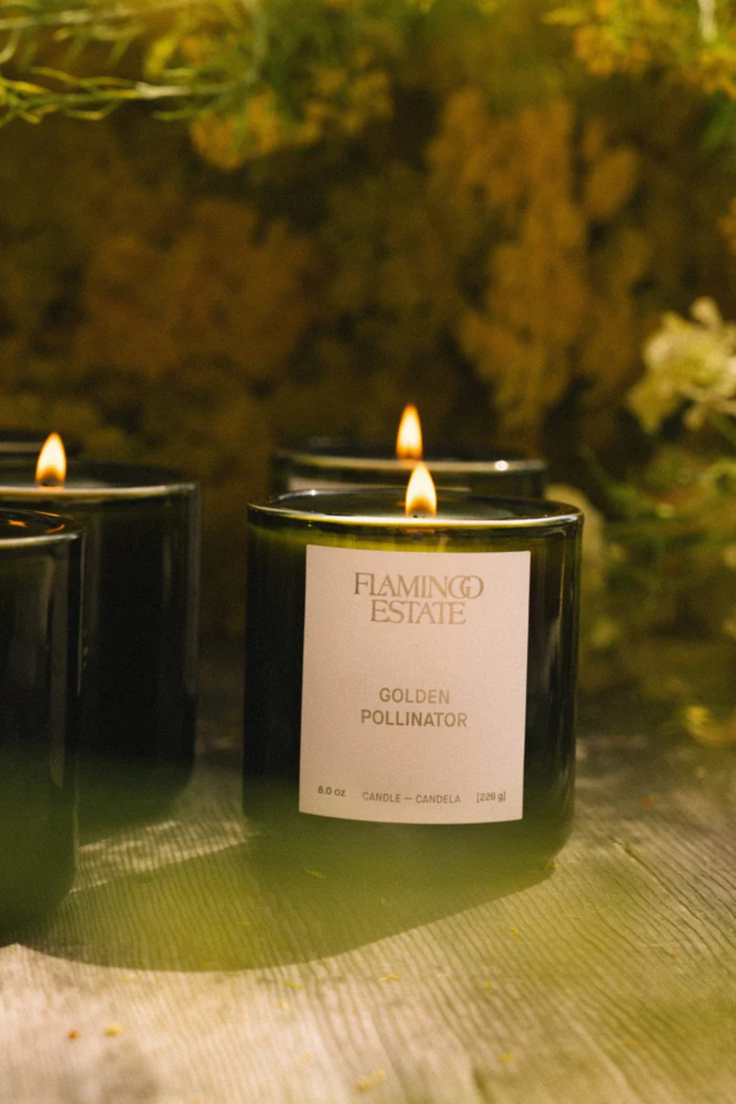 Golden Pollinator Candle