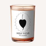 Holy Ficus Candle