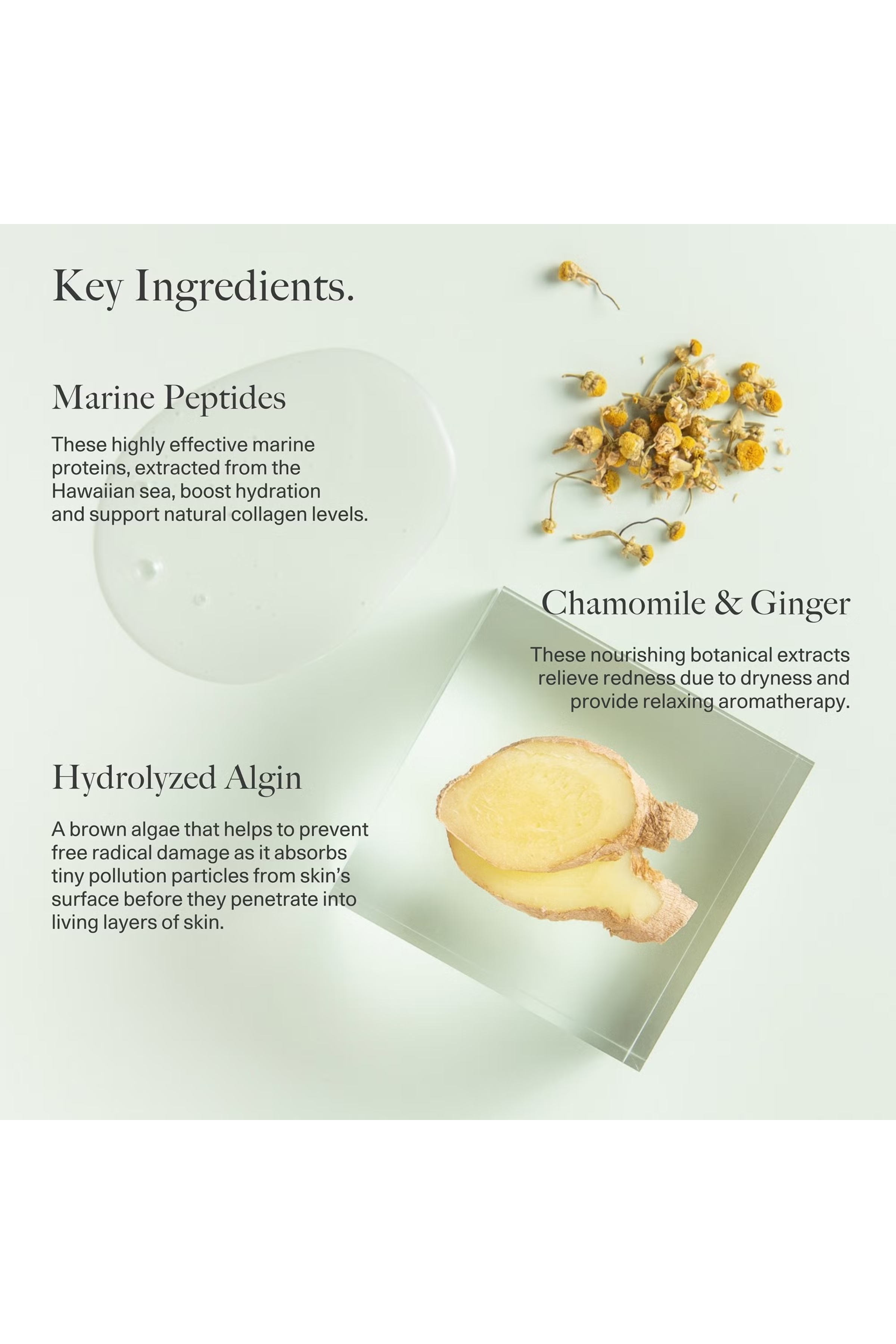 Gentle Hydrating Cleanser