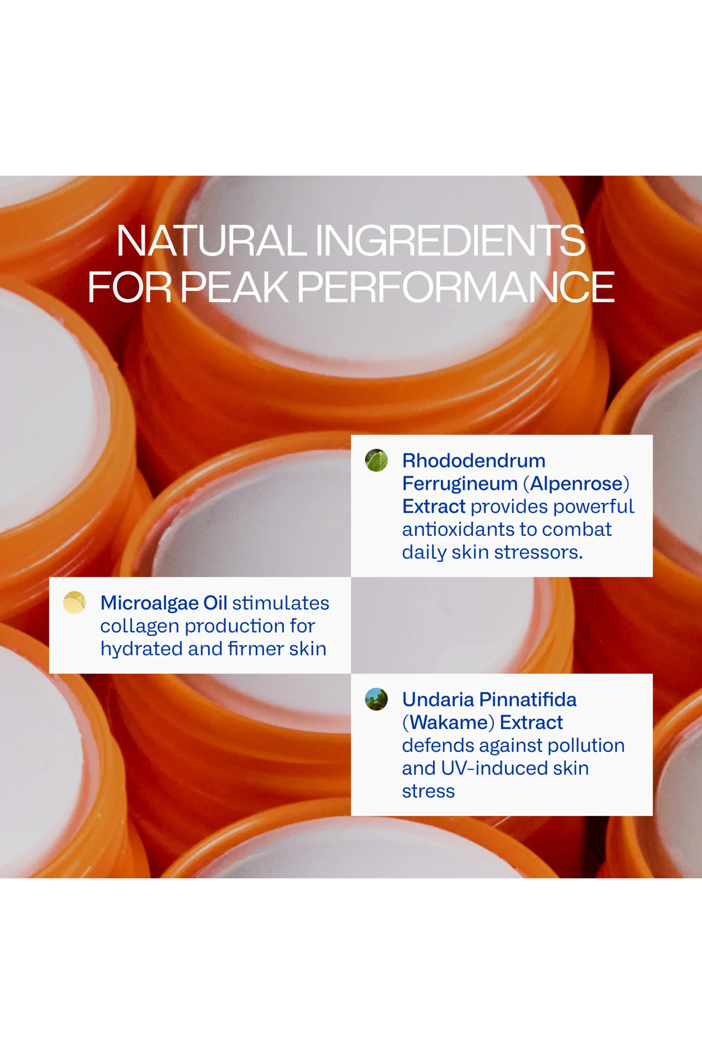 Peak Performance Sun Stick SPF50