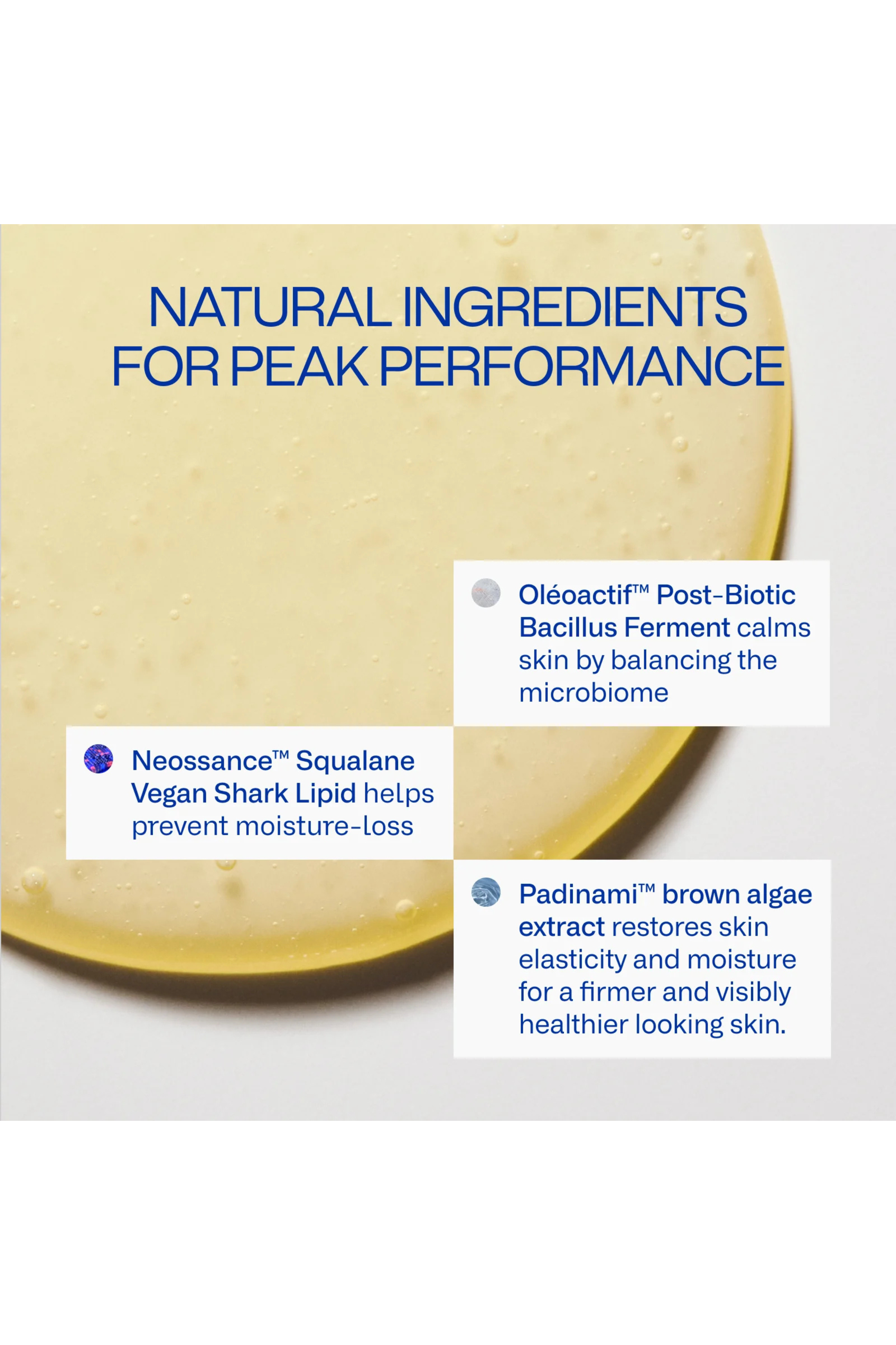 Deeper Dive Moisturizer