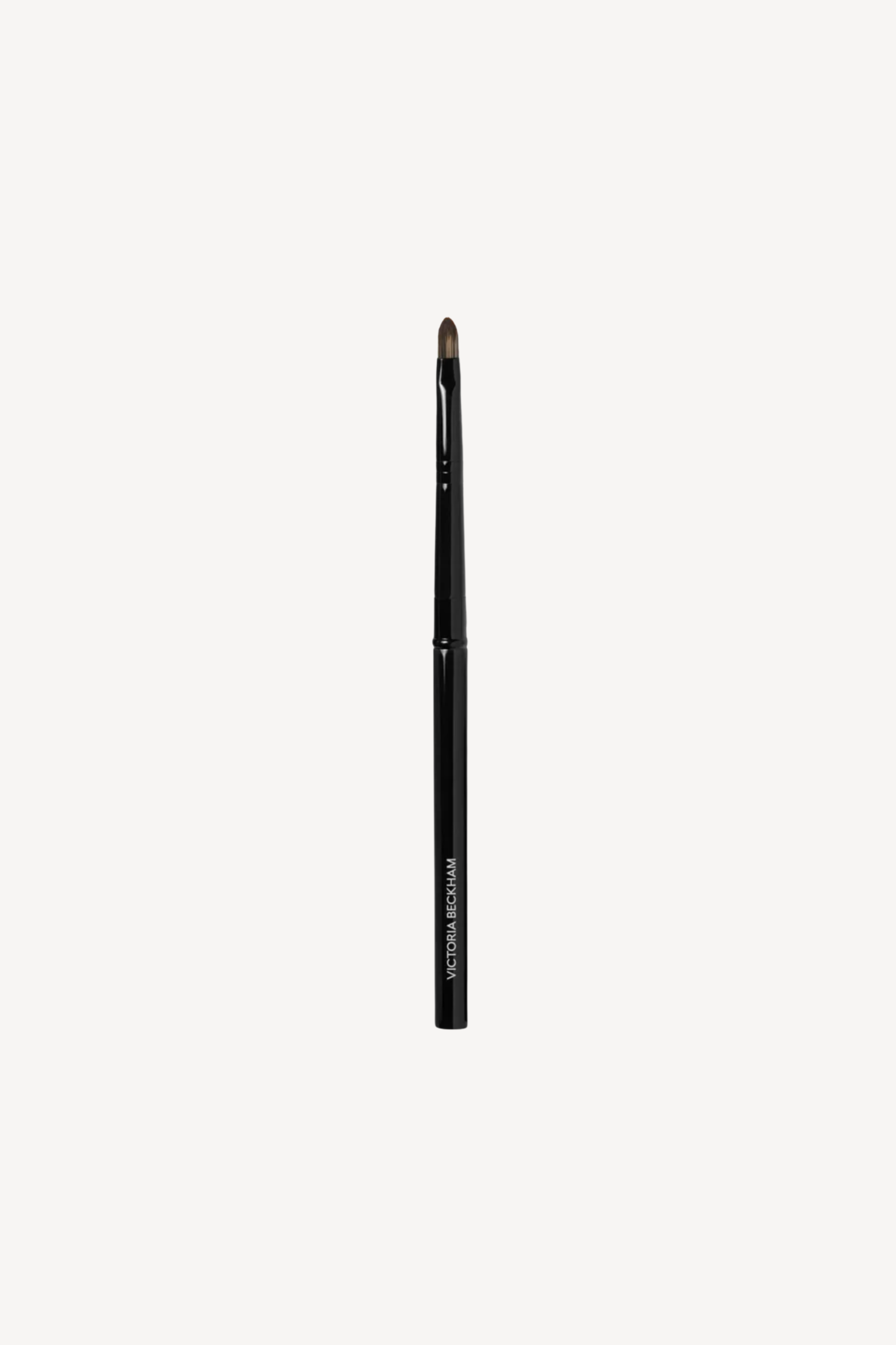 Detailed Lip Brush