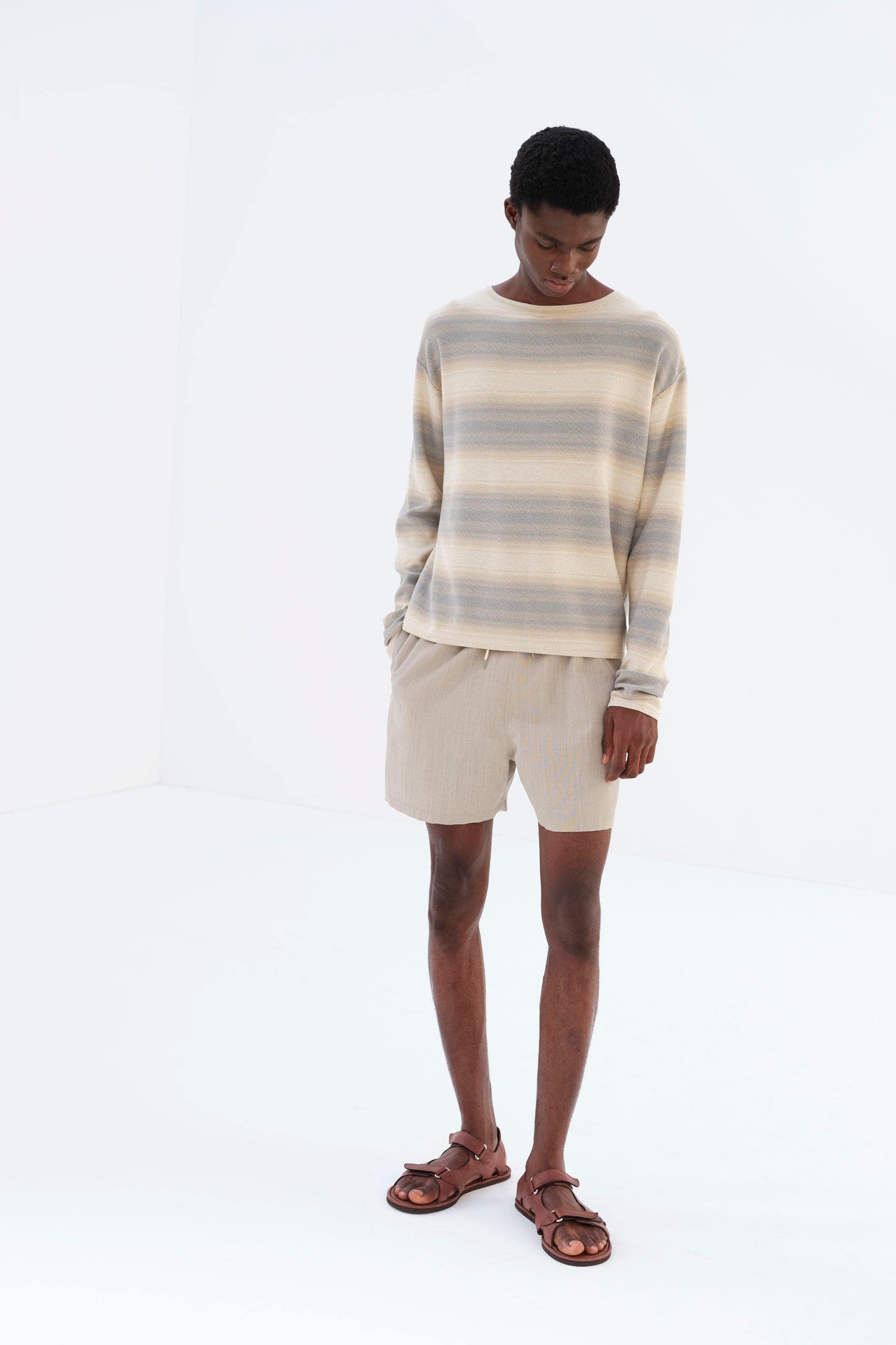 Wool Max Canvas Shorts