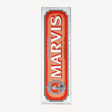 Travel Size Ginger Mint Toothpaste
