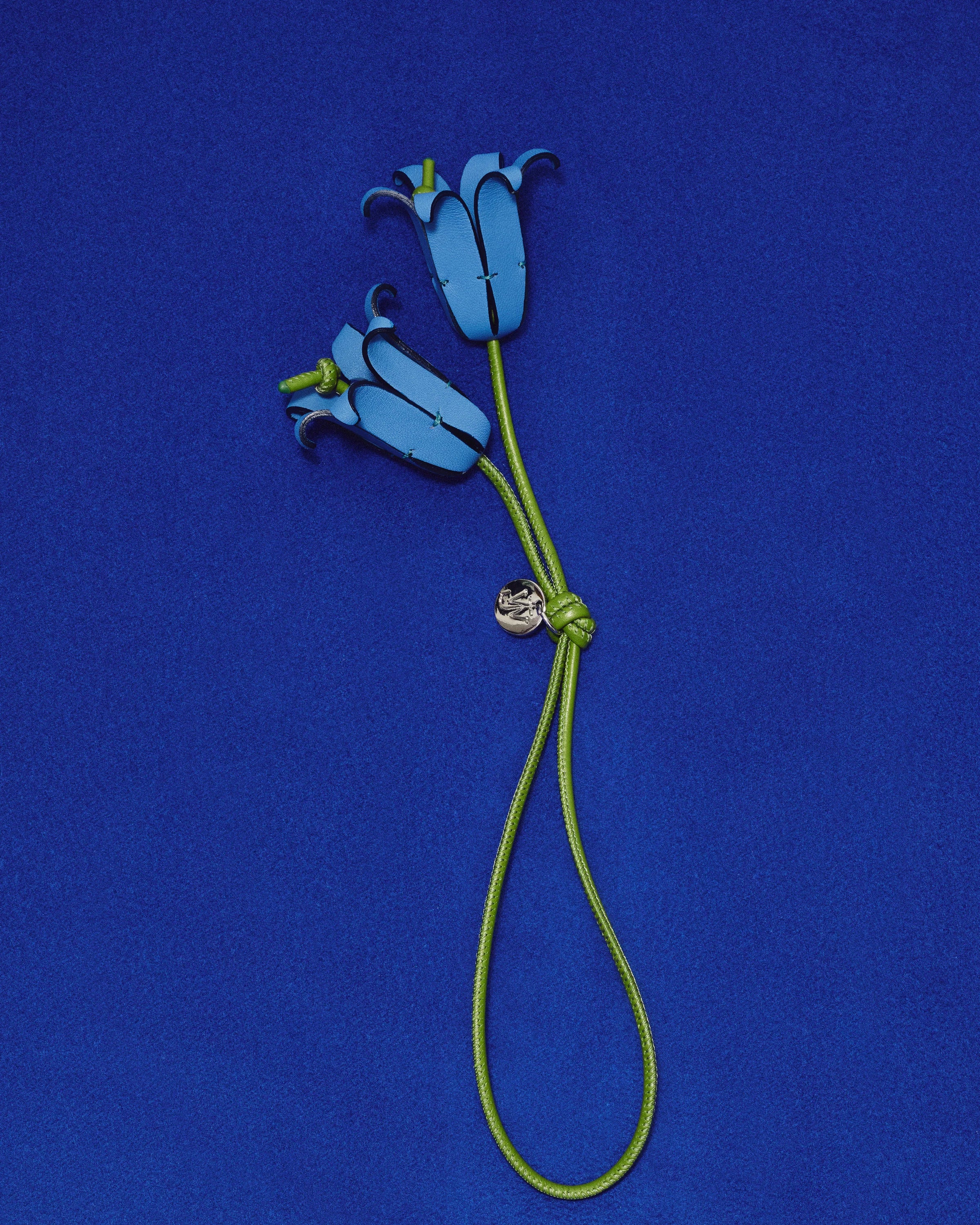 Bluebells Charm