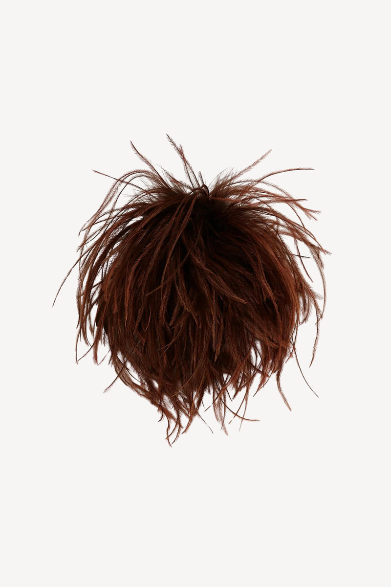 Ostrich Feather Brooch in Brown