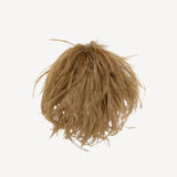 Ostrich Feather Brooch in Sand