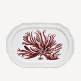 Red Seaweed Platter