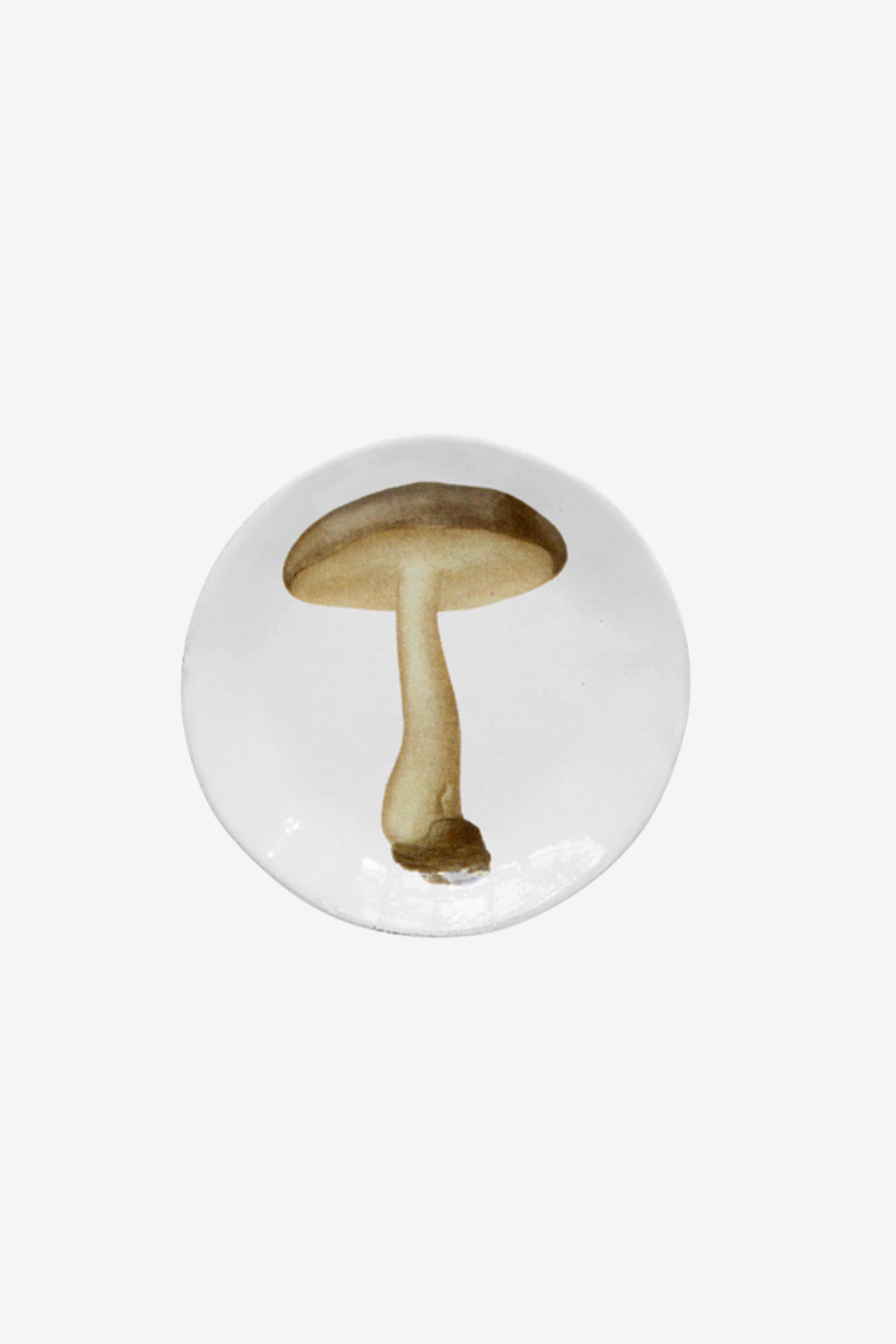 Small Agaric Nebuleux