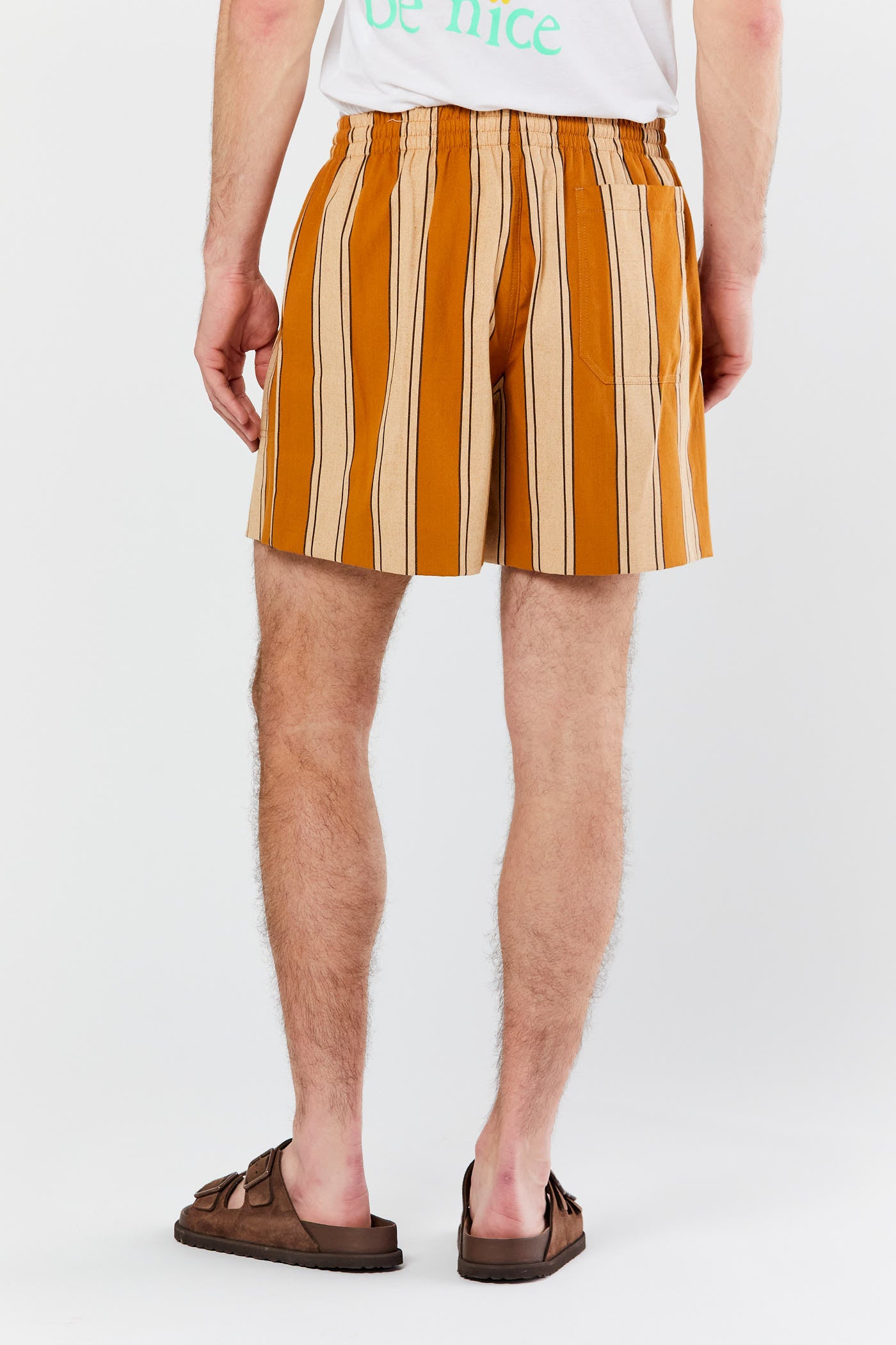 Multi Awning Stripe Shorts