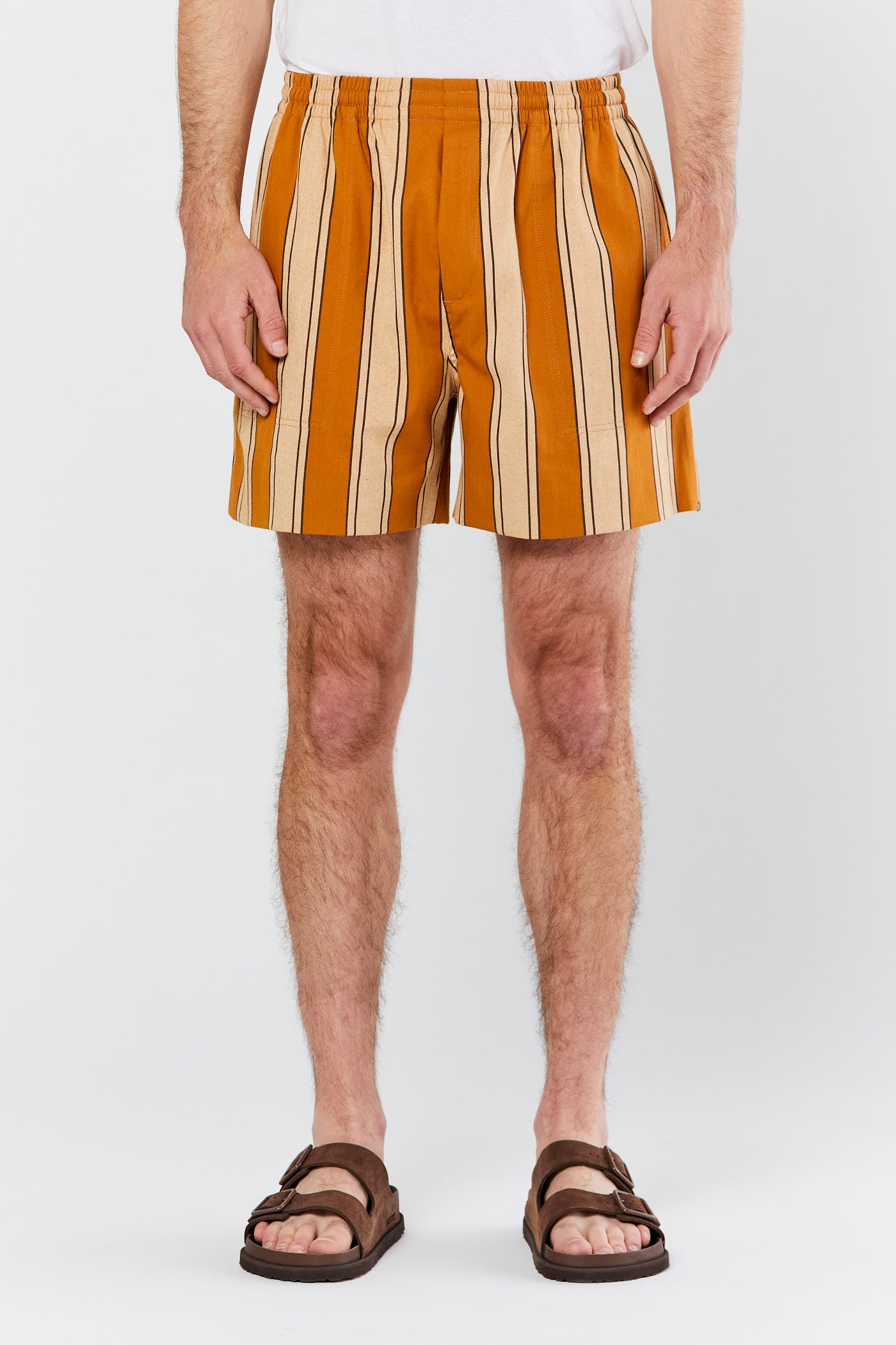 Multi Awning Stripe Shorts