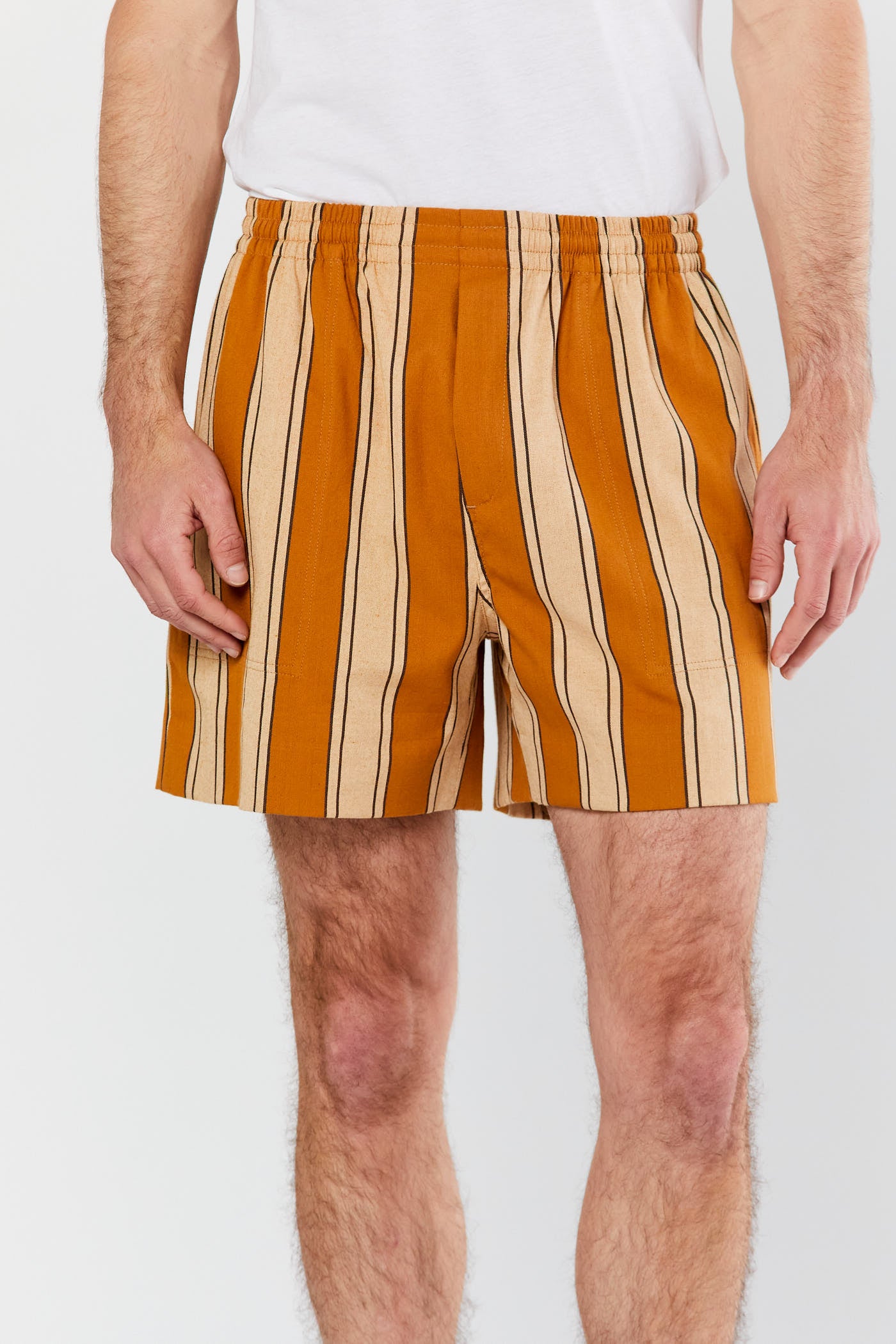 Multi Awning Stripe Shorts