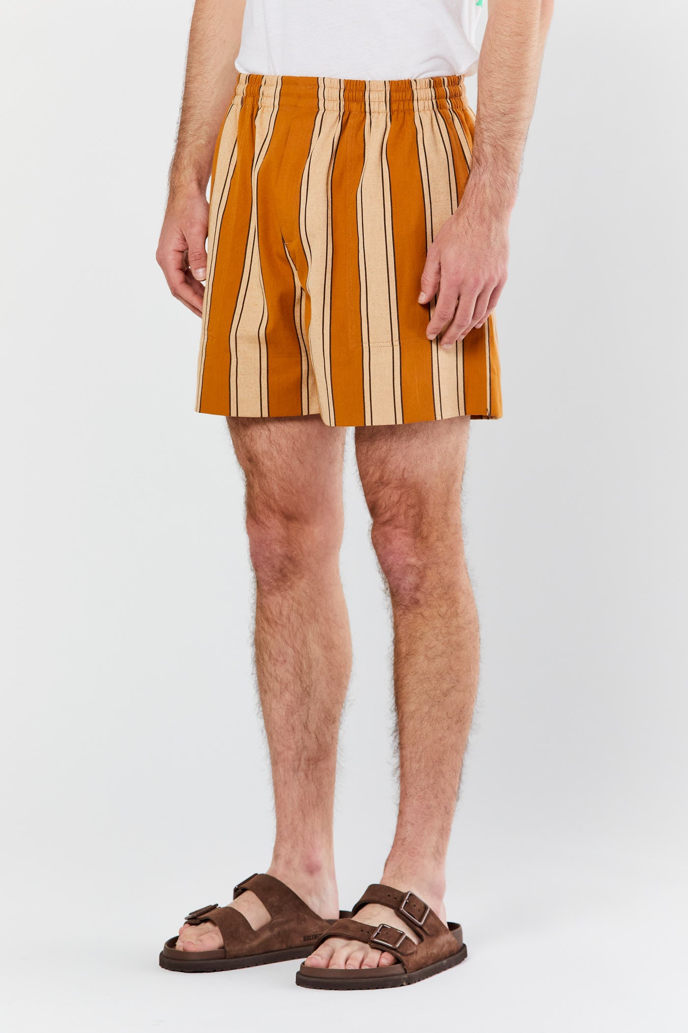 Multi Awning Stripe Shorts