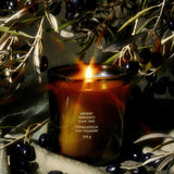 Agrigento Olive Tree Candle
