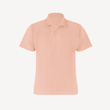 Color Pleats 2