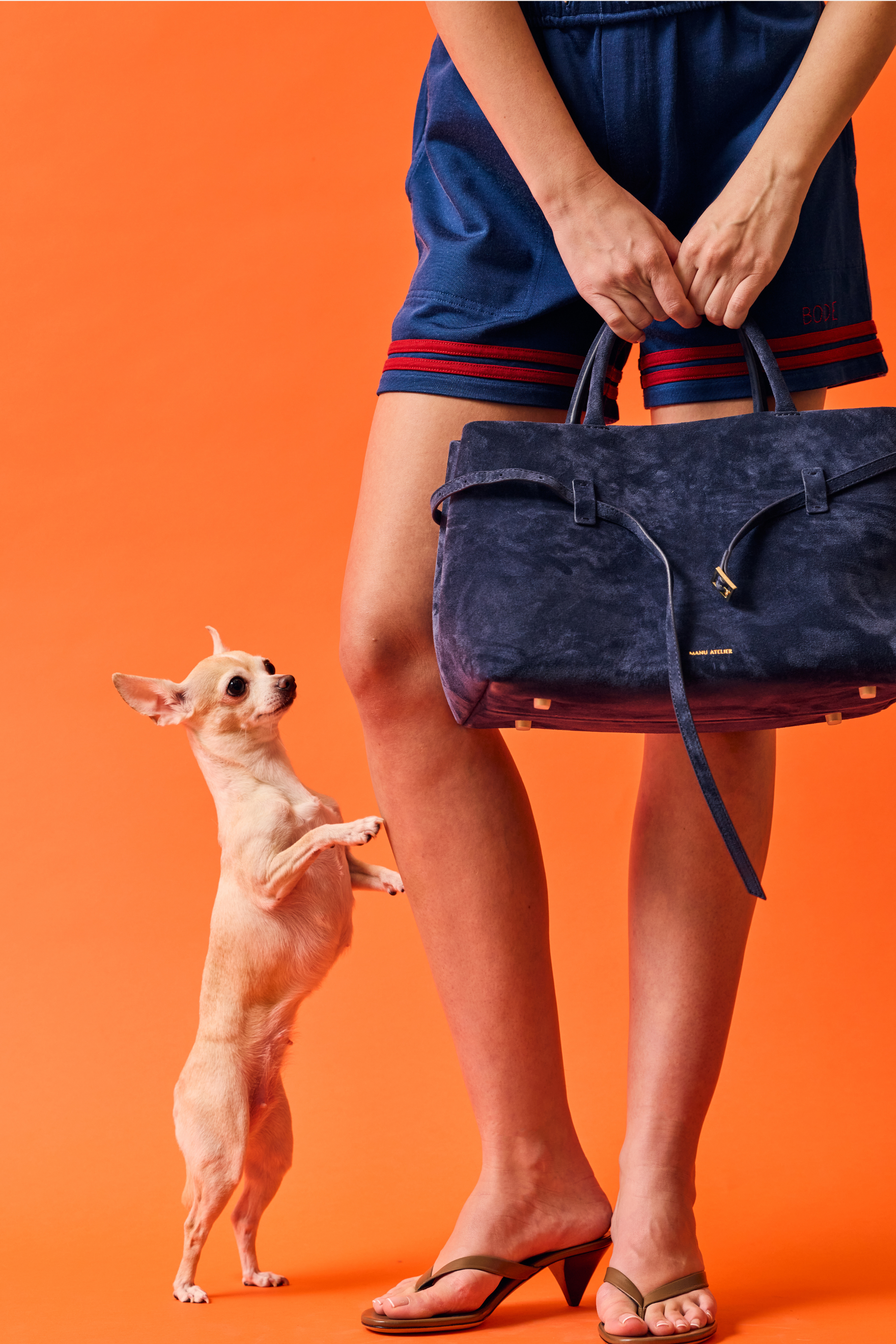 Lakewood Short