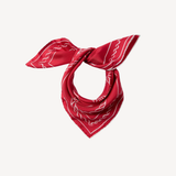Le Foulard Ancre