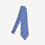 Paris Stripe Tie in Paris Stripe
