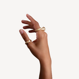 Jodha Bai Spirit scattered Bombé Ring - Maxi