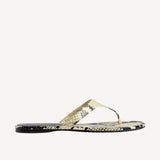 Archer Thong Sandal