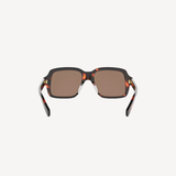 Triomphe Mini in Dark Havana / Brown