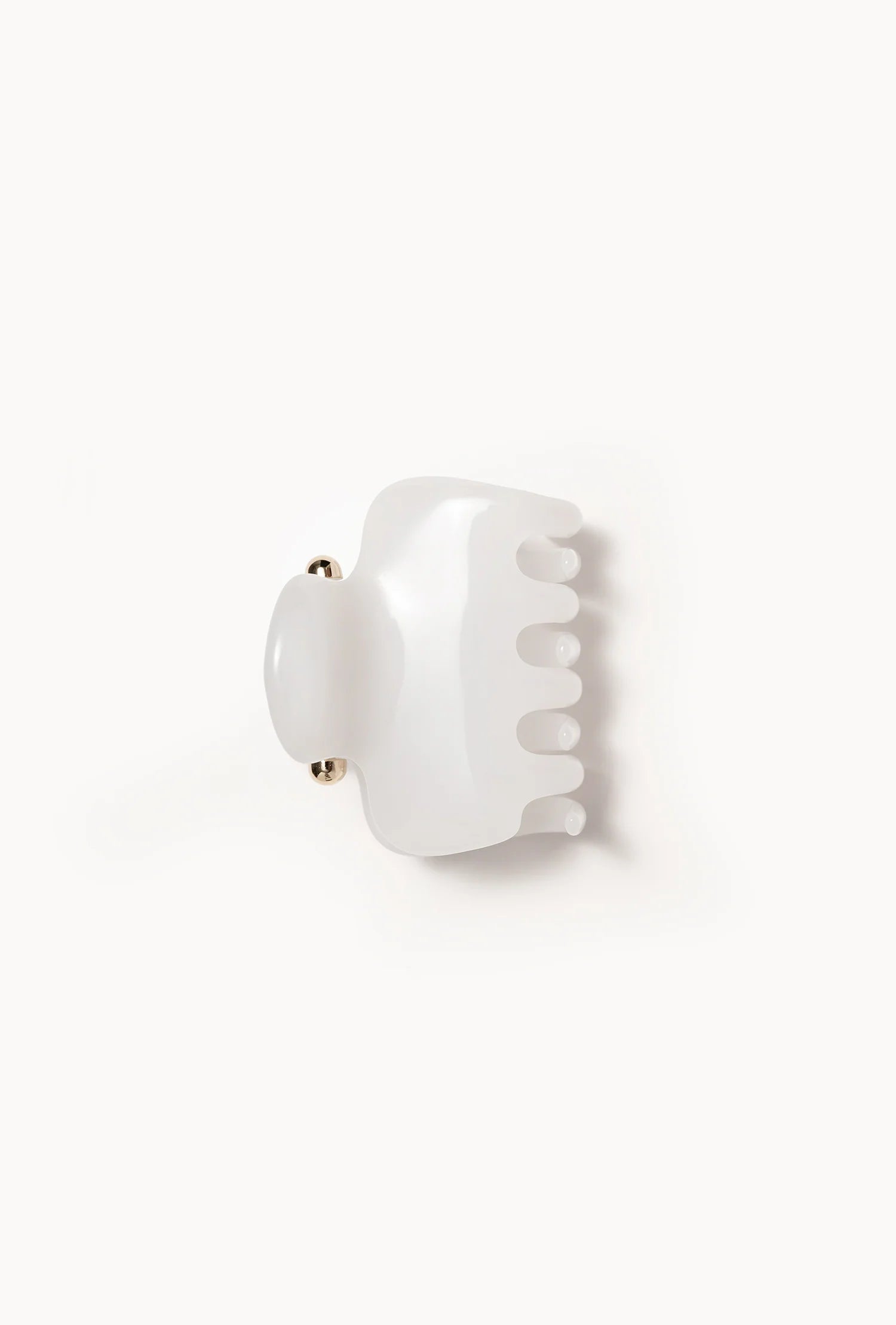 No. 2 Claw Clip
