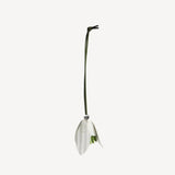 Snowdrop Charm
