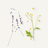 Provence Lip Balm