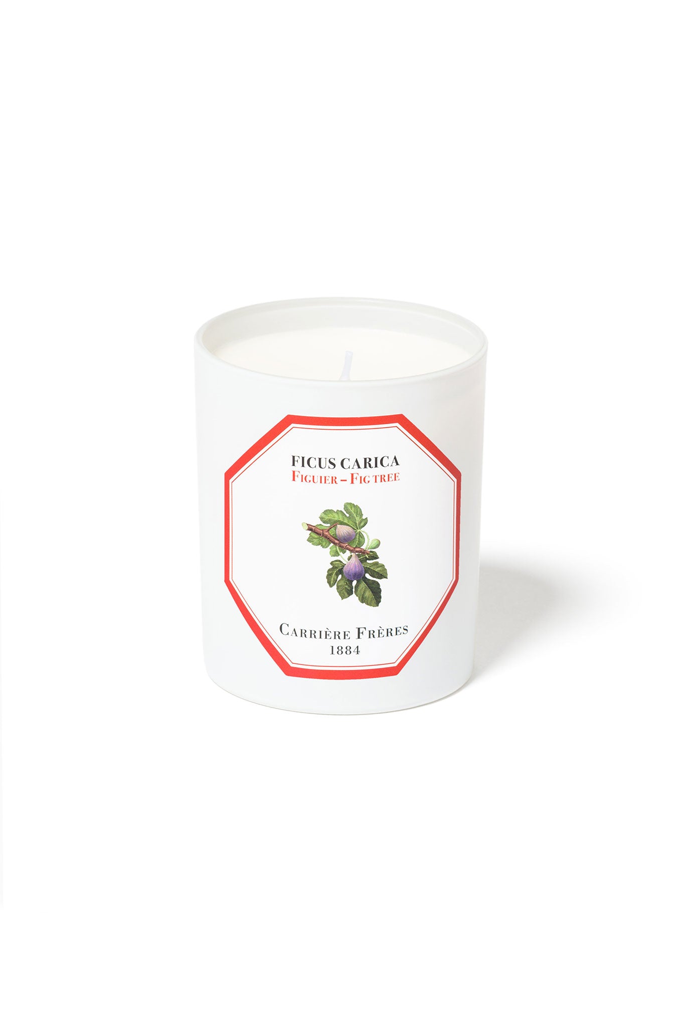 Ficus Carica Fig Tree Candle